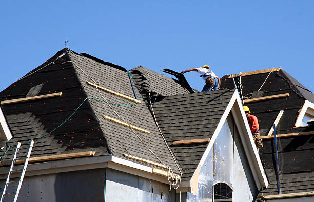 Best Roof Gutter Cleaning  in Juarez, TX